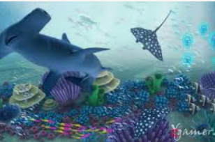 十大足球赌注软件排行榜2024最新版